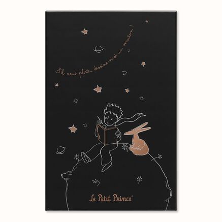 LE NB PETIT PRINCE 2023 LARGE RULED BOX