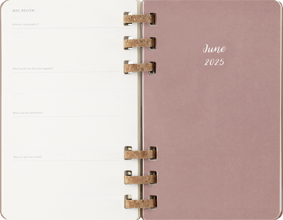 12M SPIRAL PLANNER L ALMOND