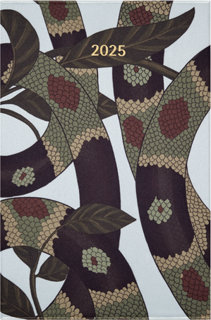 SNAKE LEAVES BUNDLE BOX PLAN+VEGEA MAMBA