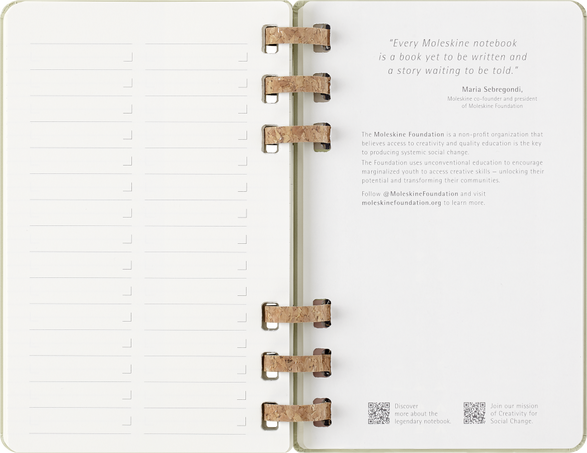 12M SPIRAL PLANNER L KIWI