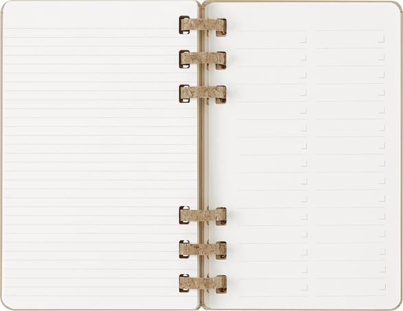 12M SPIRAL ACADEMIC PLANNER L KIWI