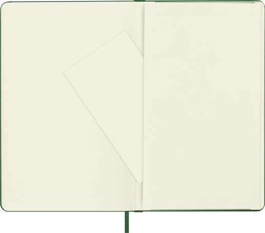 NOTEBOOK LG PLA MYRTLE GREEN HARD
