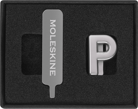 PINS P SILVER
