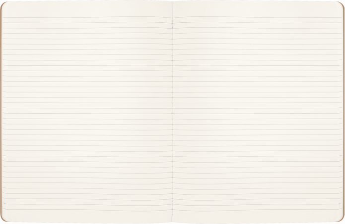 LE HARRY POTTER WINGARDIUM CAHIER XL
