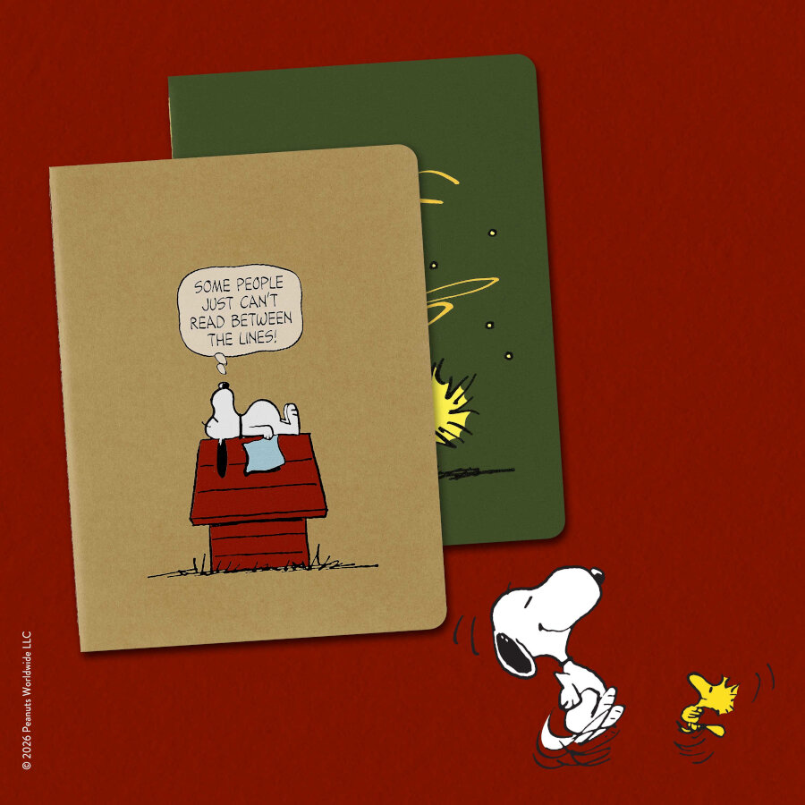Set di Quaderni Cahier Peanuts